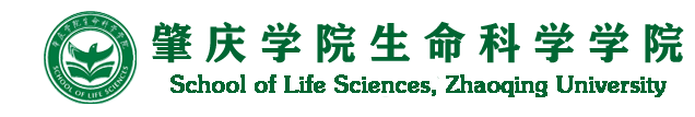 3044澳门永利集团欢迎您